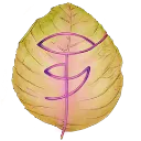 Emoji emoji_20