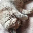 Emoji monchatonmoi