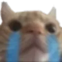 Emoji NANANNAN