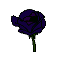 Emoji navy_blue_rose_brise