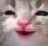 Emoji CRDCatSmileCreepy