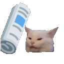 Emoji catpaff