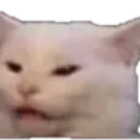 Emoji cat_bruh