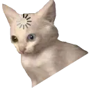 Emoji cat_wtf