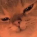 Emoji cat_mmh