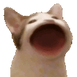 Emoji popCat