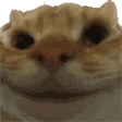 Emoji YesYes