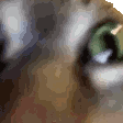 Emoji INSANECAT