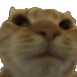 Emoji NoNo