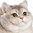 Emoji FatCat