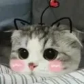 Emoji imshy