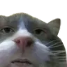Emoji Chat_le_rat_LS