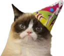 Emoji LHgrumpycat_birthday