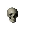 Emoji 7651spinningskull