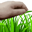 Emoji 3_Touchgrass