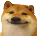 Emoji Doge