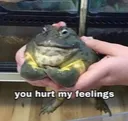 Emoji you_hurt_my_feelings78