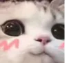 Emoji ImagineArt_NekoShy