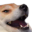 Emoji doggolol