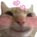 Emoji catlove