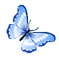Emoji blue_butterfly