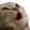 Emoji eranecat1