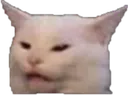 Emoji wtfcat_hono
