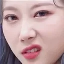 Emoji dongdisgust