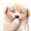 Emoji nasushehe