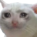 Emoji catcry