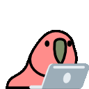 Emoji laptop_parrot