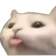 Emoji catBleh