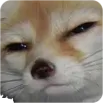 Emoji pp_myuko