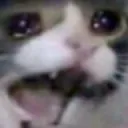 Emoji valahola_catsad