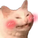 Emoji valahola_cathappy