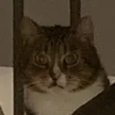Emoji valahola_catpsycho