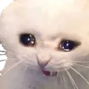 Emoji valahola_kittysad