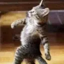 Emoji valahola_catwalking
