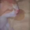 Emoji valahola_catemo