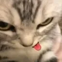Emoji valahola_catdiabolic