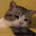 Emoji valahola_kittycute