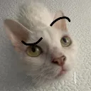Emoji valahola_kittywtf