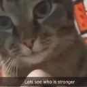 Emoji valahola_catzoom