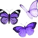 Emoji papillon