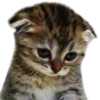 Emoji Ita