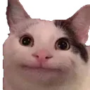 Emoji emoji_21