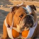 Emoji emoji_25