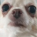 Emoji emoji_30