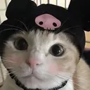Emoji catElsa