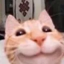Emoji catKyky
